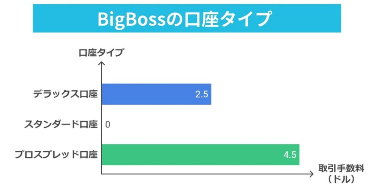 BigBossの口座タイプをわかりやすく比較！評判と口コミまとめ